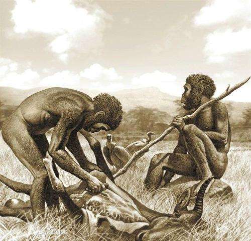 生物进化史人类还会进化吗,生物进化论三大未解之谜