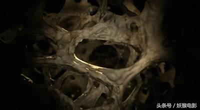 最震撼的纪录片bbc人体的奥秘,人体科普纪录片top10