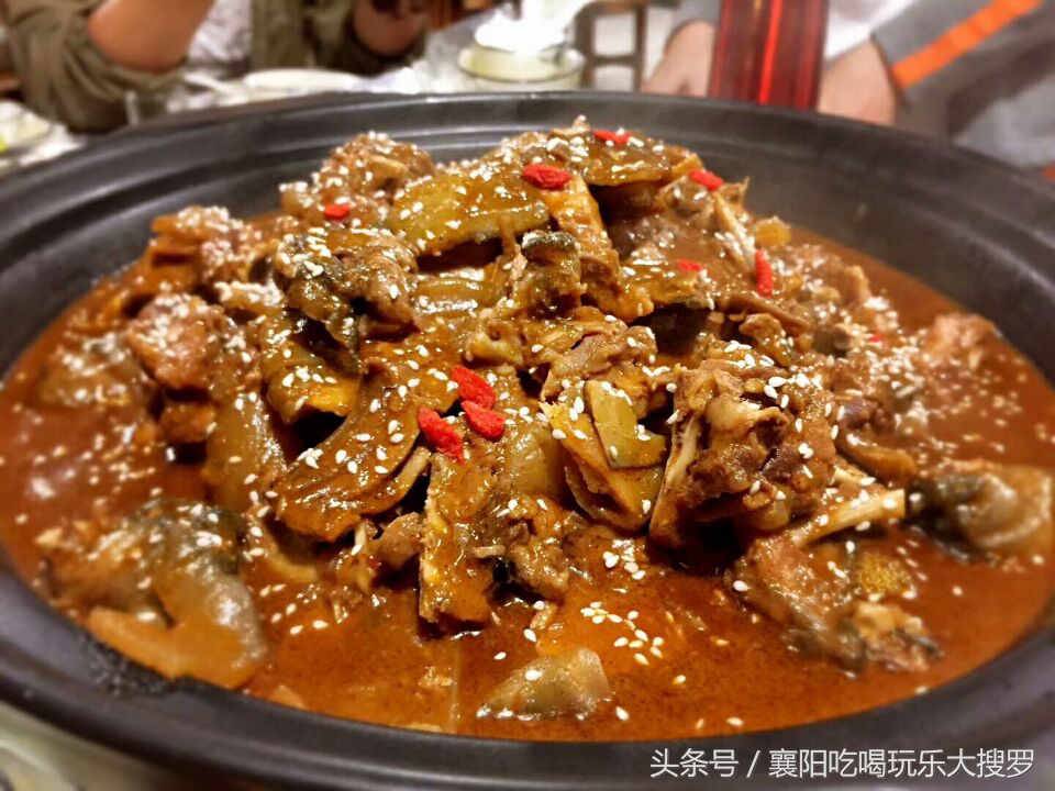 甲鱼销量第一,销量第一甲鱼