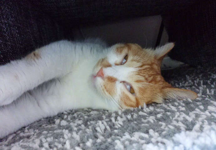 段子十则：黄瓜断了，断的那一半，在里面