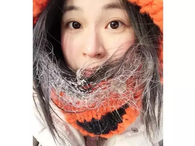 初冬掠影,哈尔滨的冬日魅力