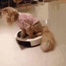 智能家居属于什么大类,智能家居由什么组成