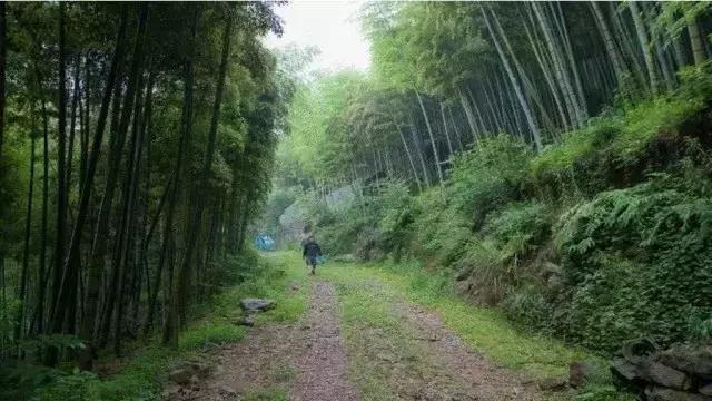 深山原始村落自驾游,大山深处古老村落自驾游