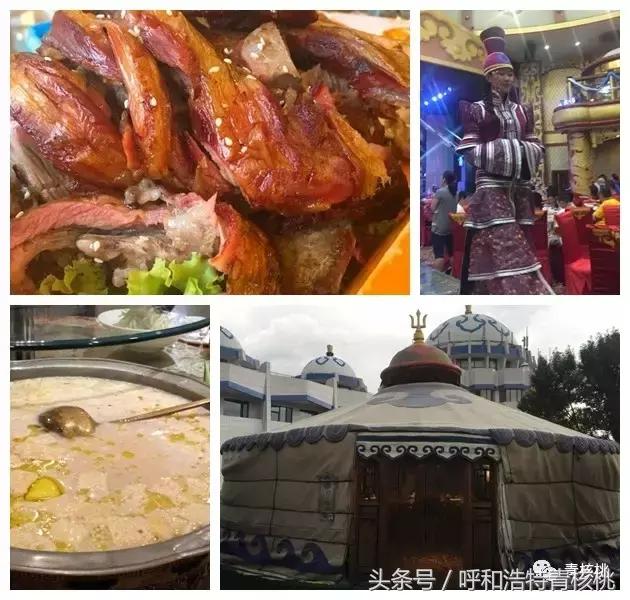 呼和浩特最漂亮的蒙餐,呼和浩特最正宗的蒙餐