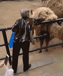 这是干啥?干嘛掏人家女生的下边,你好坏