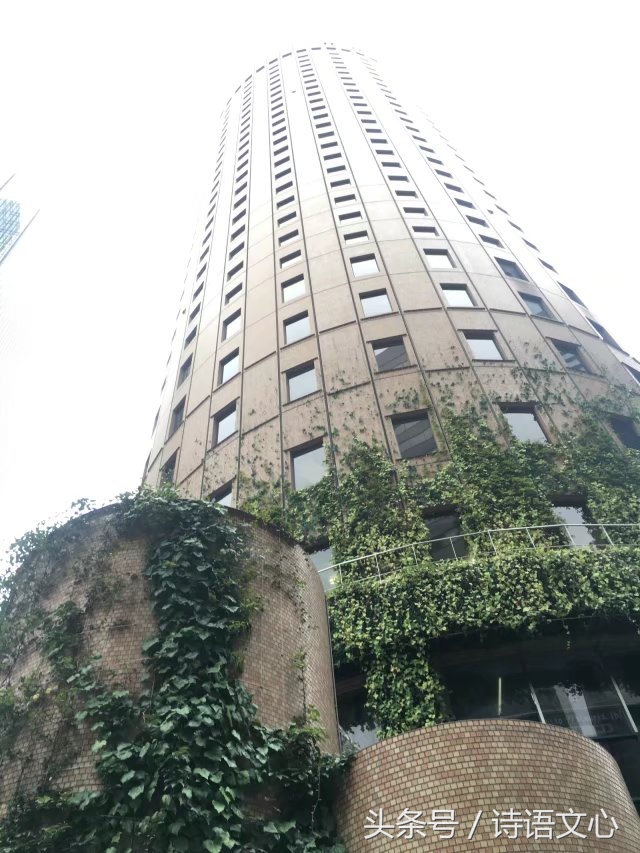 暑假带娃去部队看亲人,带娃去拉练