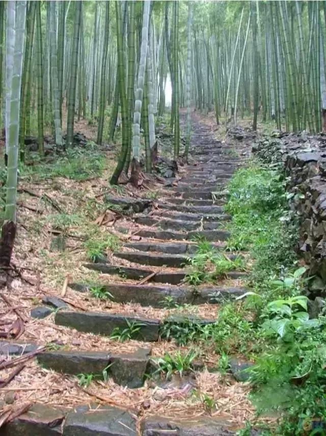 深山原始村落自驾游,大山深处古老村落自驾游