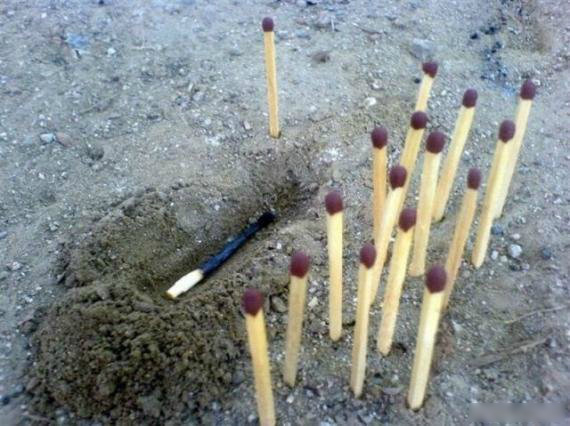 段子十则四十二期,段子十则第十二集