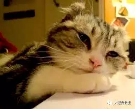 大葱侃星座谈谈处女座（下）