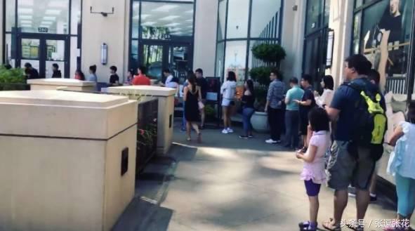 ladym蛋糕最新消息,ladym蛋糕为什么贵