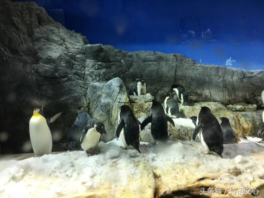 暑假带娃去部队看亲人,带娃去拉练