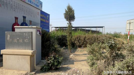 龙口百强县市排名,龙口在山东百强县排名