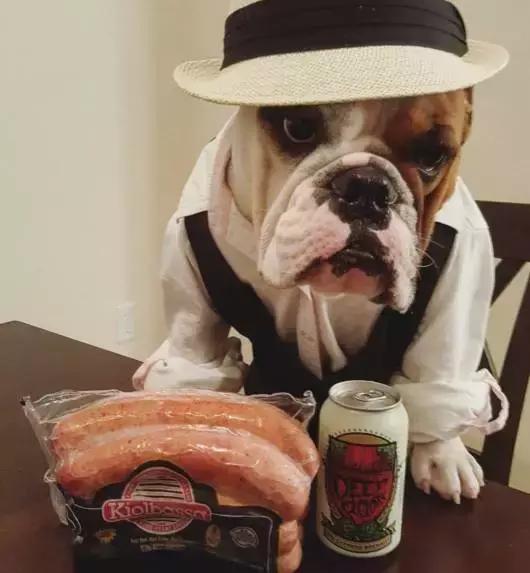 致狗狗的最后一封信,致养狗主人的一封信