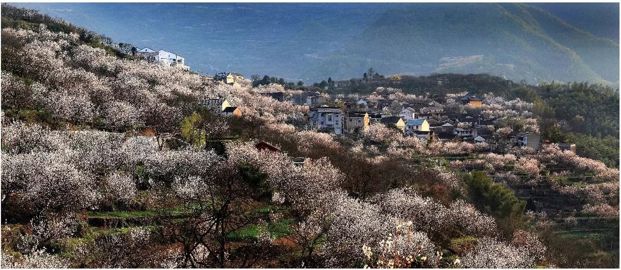 孝德文化城,孝德文化之乡