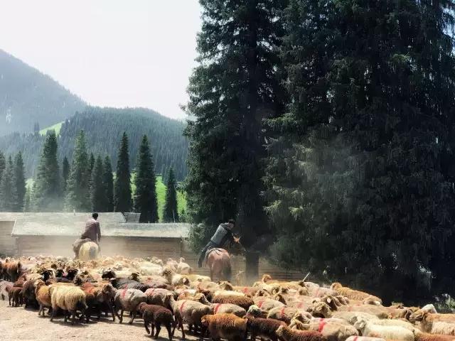 用手机学摄影从零开始自学,用手机学摄影教程入门