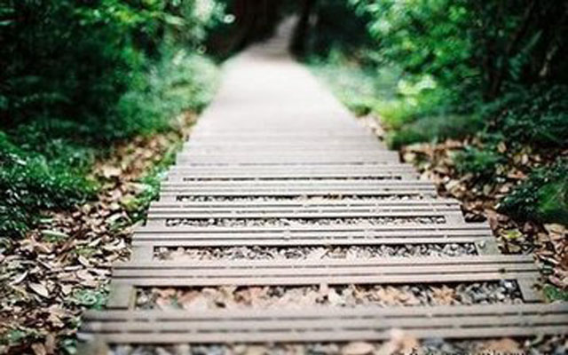 致煤矿工人人生感悟,煤矿工人感言真累