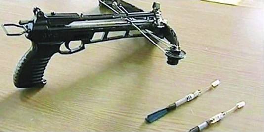 琥珀胆碱偷狗,琥珀胆碱对狗的危害