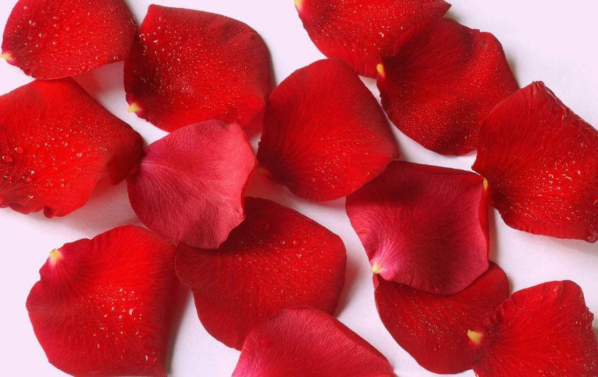 大姨妈11个常识,大姨妈对女人的重要性你知道吗