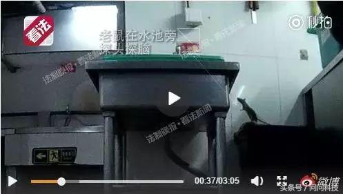 海底捞和肯德基,肯德基海底捞营销