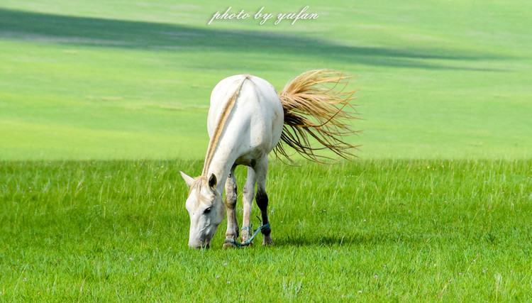 五一锡林郭勒游玩,几月份游锡林郭勒适合