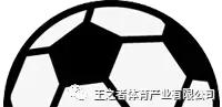 王之者足球俱乐部体验课,王之者