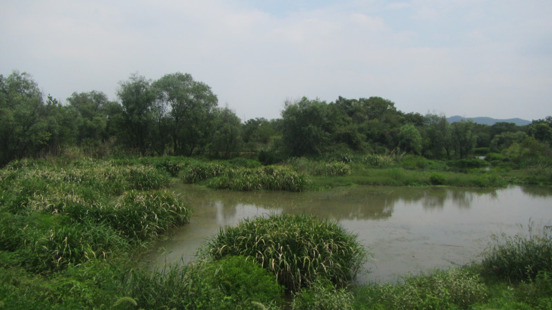 苏州西塘乌镇二日游团从杭州出发,苏州西塘乌镇二日一夜