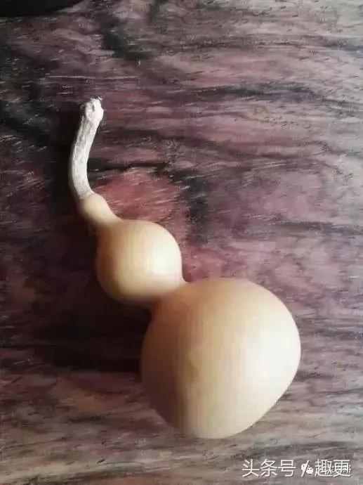 葫芦老掉龙头怎么办,葫芦的龙头快掉了怎么办