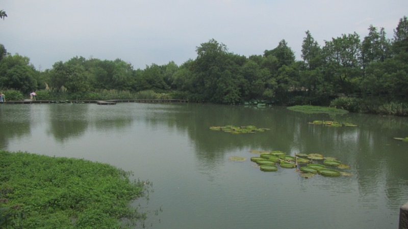 苏州西塘乌镇二日游团从杭州出发,苏州西塘乌镇二日一夜