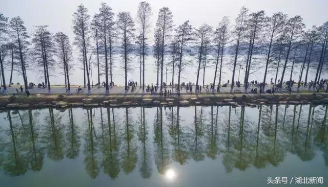 武汉如何复兴,武汉如何抗日