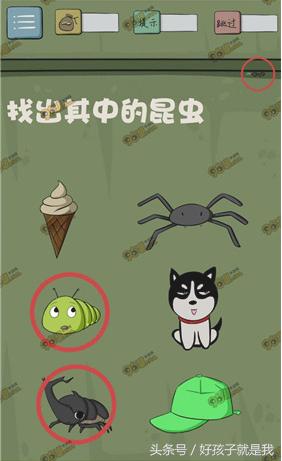 最囧游戏5小游戏,最囧游戏5