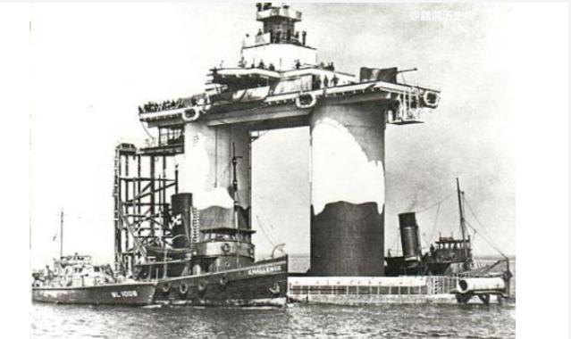 成为欧洲贵族，拥有“永生”爵位，只需要一袋猫粮的价格