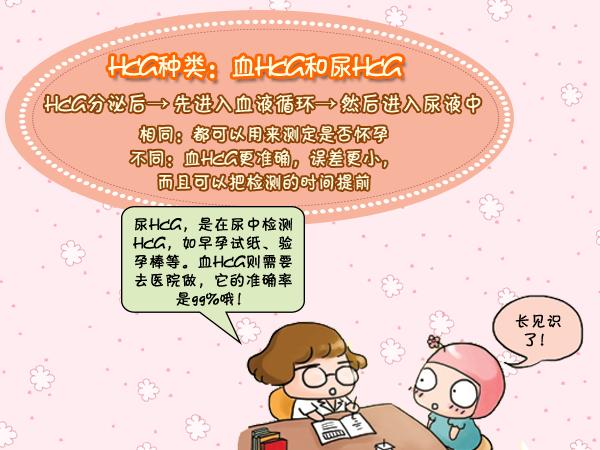 血HCG检查,hcg是检查血还是尿