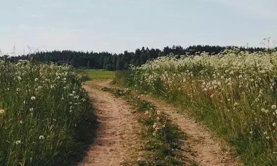 为什么失恋会失眠,失恋以后失眠怎么办