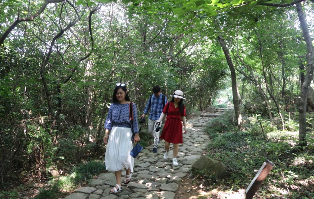 品农家菜,品农家美食