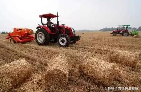 拉虎皮扯大旗的后果,拉大旗作虎皮的故事