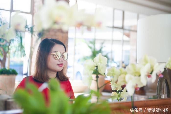 玄学大师香港李居明,李居明大师讲聚宝盆应该放啥