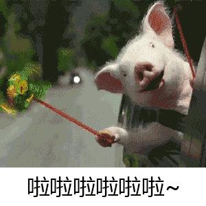 英文名有哪些常见的,电工常用的英文单词缩写