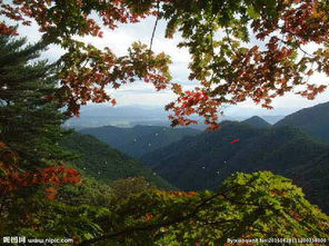 开启秋季养生远离多事之秋,不同人群的秋季养生之道