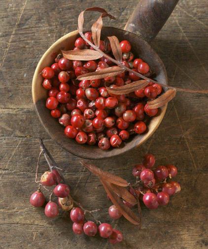 类似颜值夫妇的cp,类似于颜值夫妇的cp