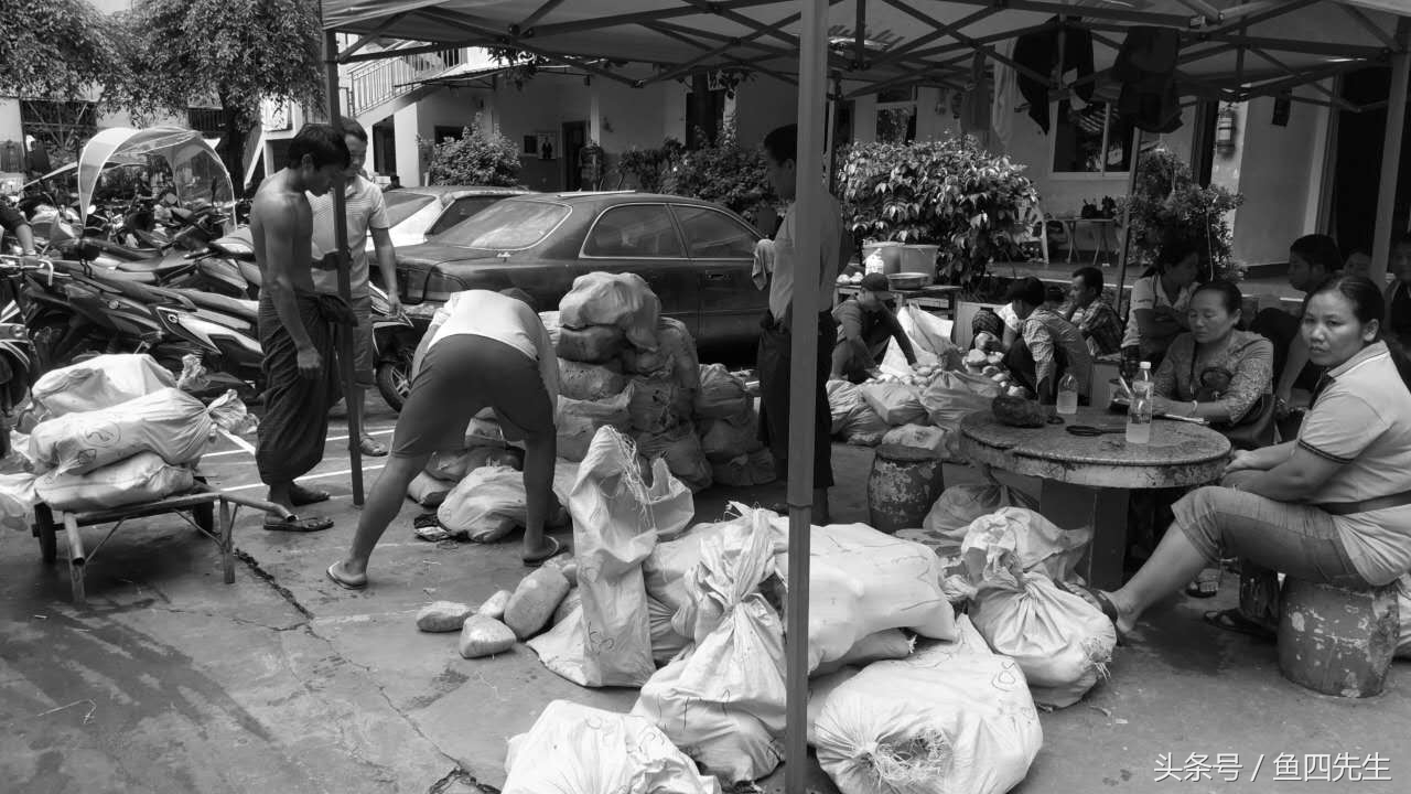 鐟炰附鍙嬭皧鏃呯ぞ,鐟炰附鍙嬭皧瀹鹃