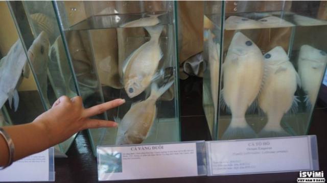 五招识别泡过“尸药”的毒海鲜，这些我们在厦门竟然常常吃！