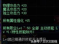 帕拉丁buff换装,dnf能打的奶妈