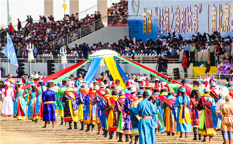 肃北七彩花海,肃北百亩花海在哪里