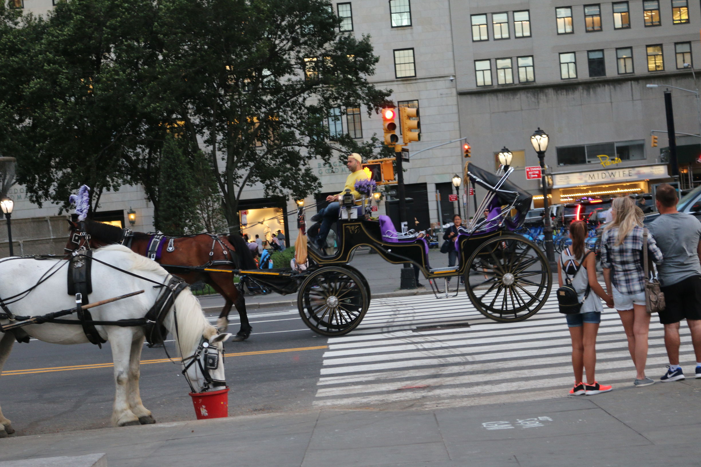 纽约游记,美国纽约日记全集