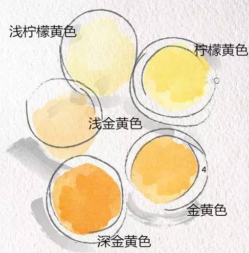 葡萄酒瓶颜色的秘密,葡萄酒香味的秘密