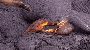 我敢打赌,iphonex烂大街吗