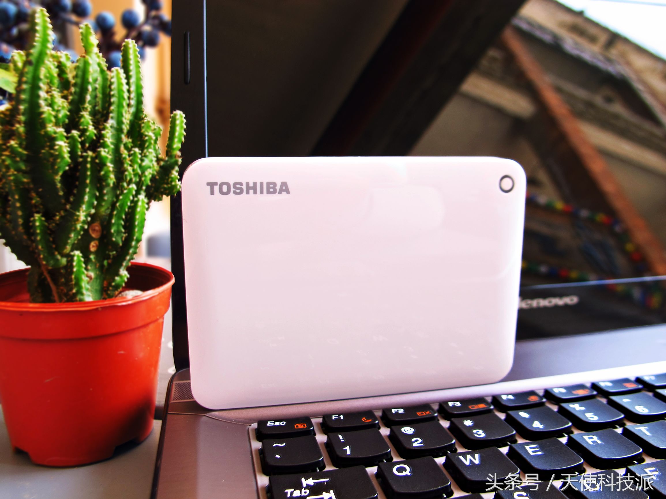 东芝移动硬盘哪个系列最好用测评,东芝西部移动硬盘推荐使用