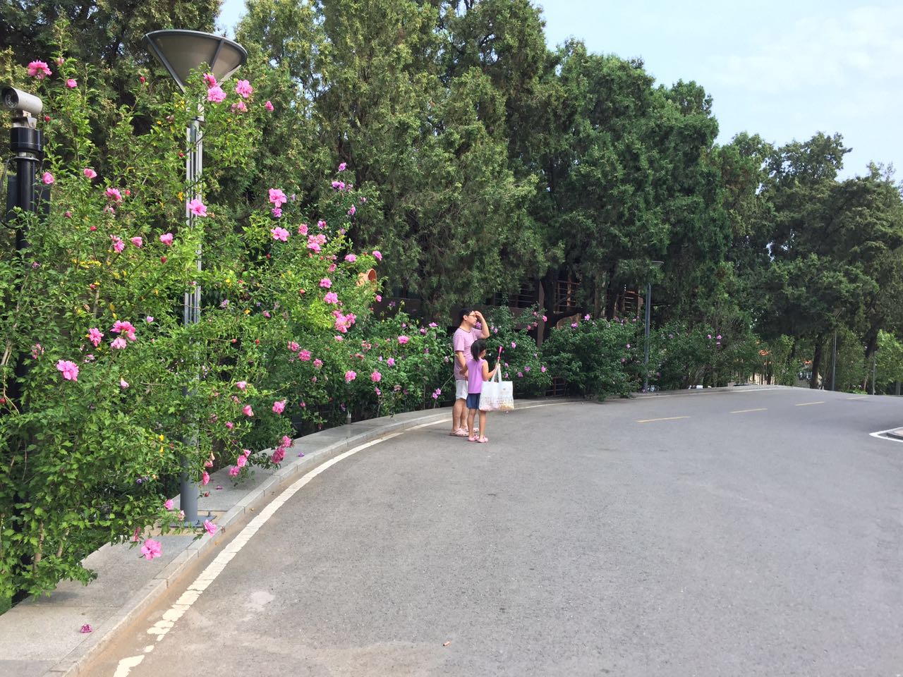 什么时候去秦皇岛北戴河玩合适,去秦皇岛好还是北戴河好