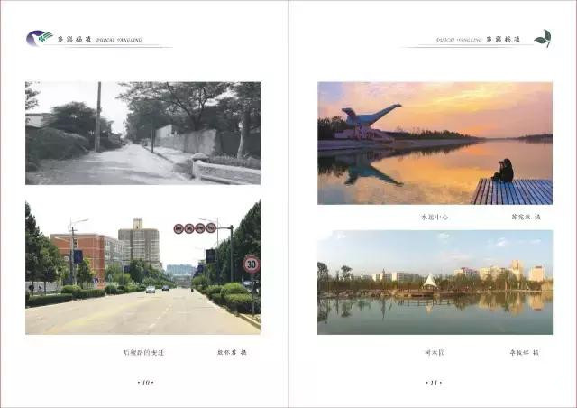 杨凌和杨陵什么关系,杨凌高凤香老师