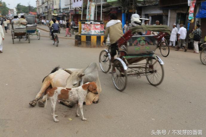 印度所见所闻,印度孟买旅游真实感受